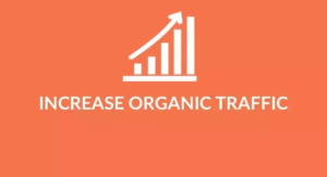 Best Strategy to Increase Organic Traffic