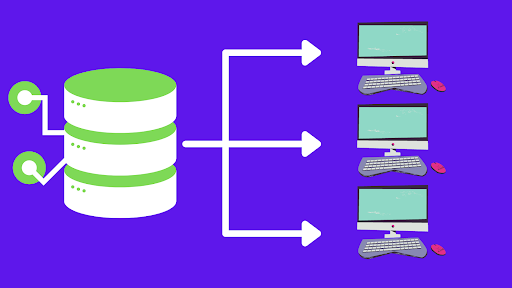 Shared Web Hosting