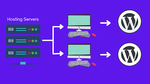 wordpress hosting