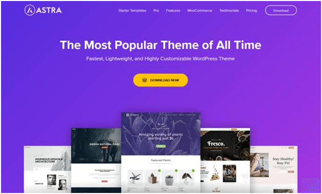 astra wp themes