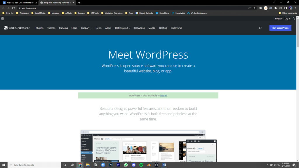 wordPress cms platform